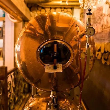 The Stamp デン・ボッシュ