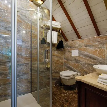 The Stamp דן בוש